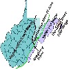 image of Figure 66